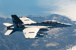 EA-18G VAQ-209 add-on pack *Pre-Order*