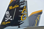 F/A-18D VFA-103 75th anniversary add-on pack *Pre-Order.*