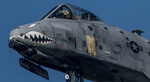 A-10C 75th Fighter Squadron