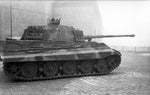 King Tiger #132