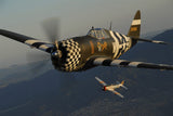 P-47D (Razorback)